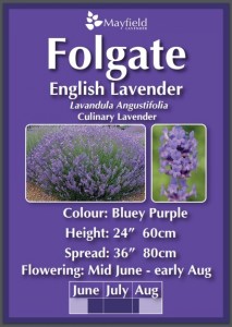 Folgate Planter £12.50